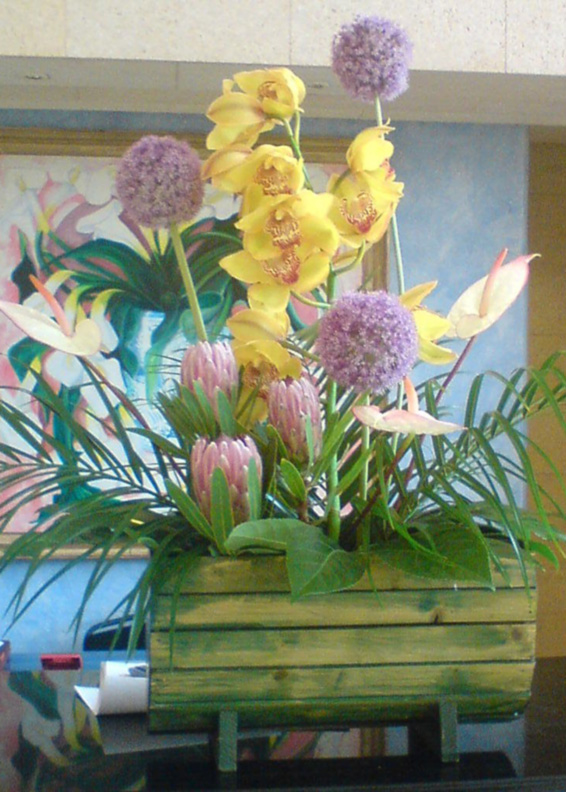 Oadby florist, Wigston florist, Leicester Contract flower arrangement for reception desk, alliums, orchids, protea