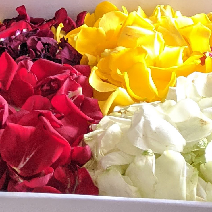 A tray of colourful petals, suitable for scattering in and around the casket.