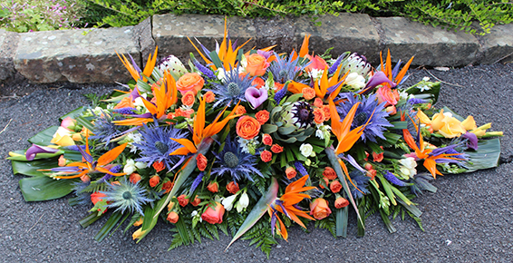 Oadby Funeral Flowers, Wigston Funeral Flowers, Leicester funeral flowers, Tropical flowers in orange & blue 4ft casket spray.