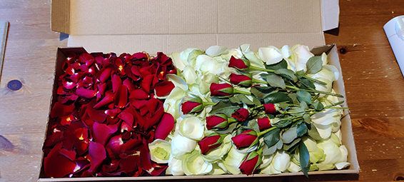 Oadby Funeral Flowers, Wigston Funeral flowers, Market Harborough Funeral Flowers, A large box of red and white rose petals.